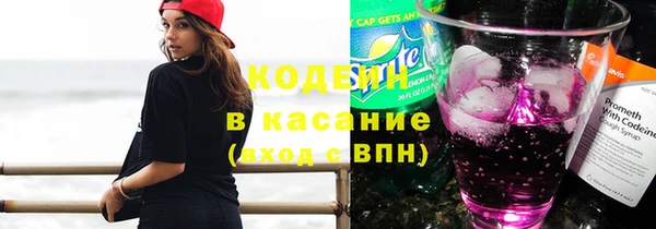 шишки Фёдоровский