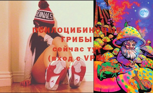 гашик Нея