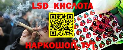 амф Балахна