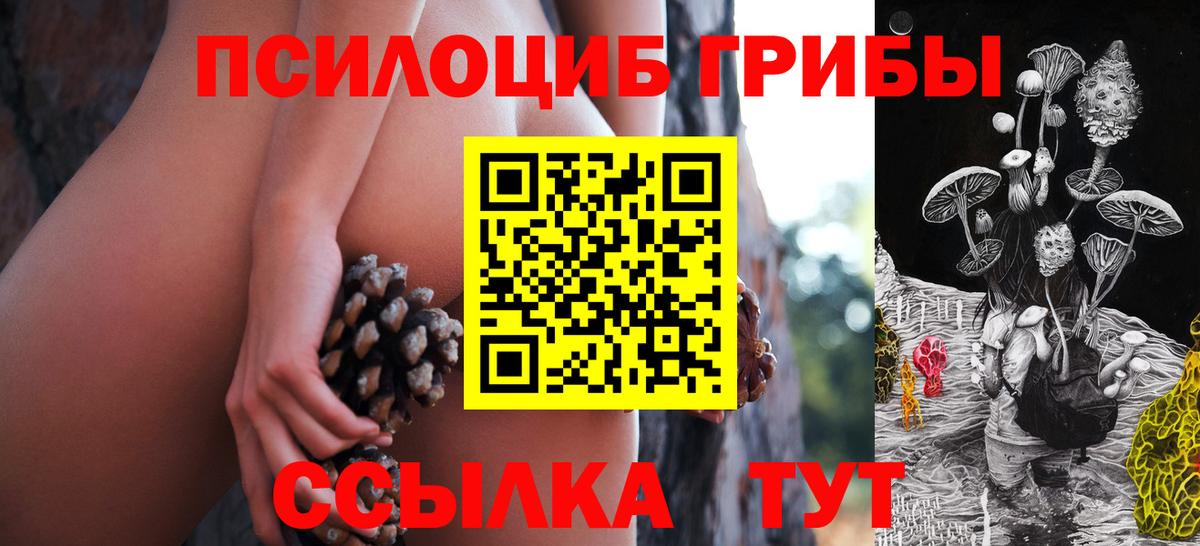 Псилоцибиновые грибы Psilocybe Кизилюрт