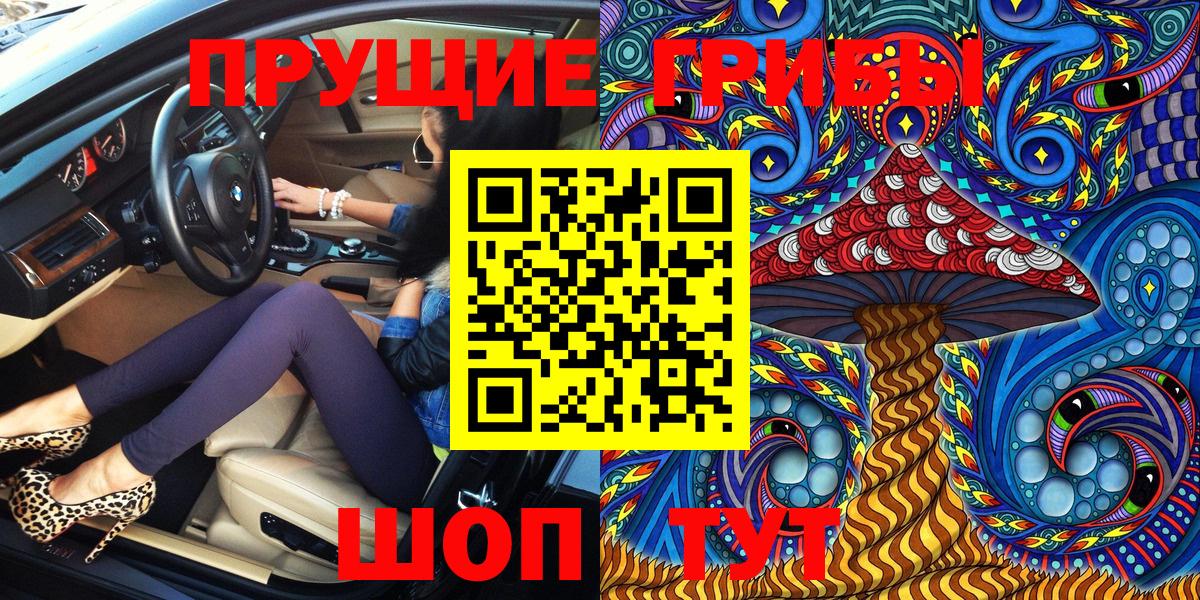 Псилоцибиновые грибы Psilocybe Кизилюрт